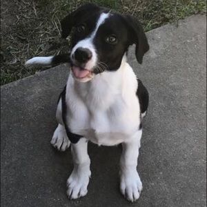 Meet your Posher, Andrea